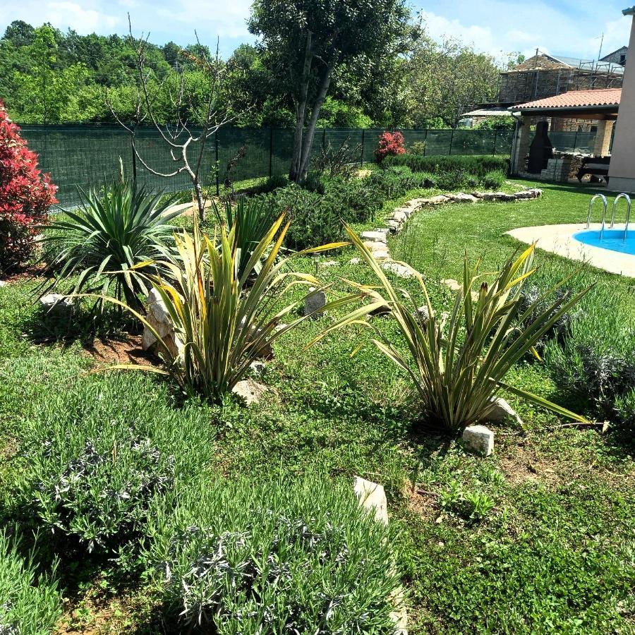 Villa Malini Grožnjan Extérieur photo