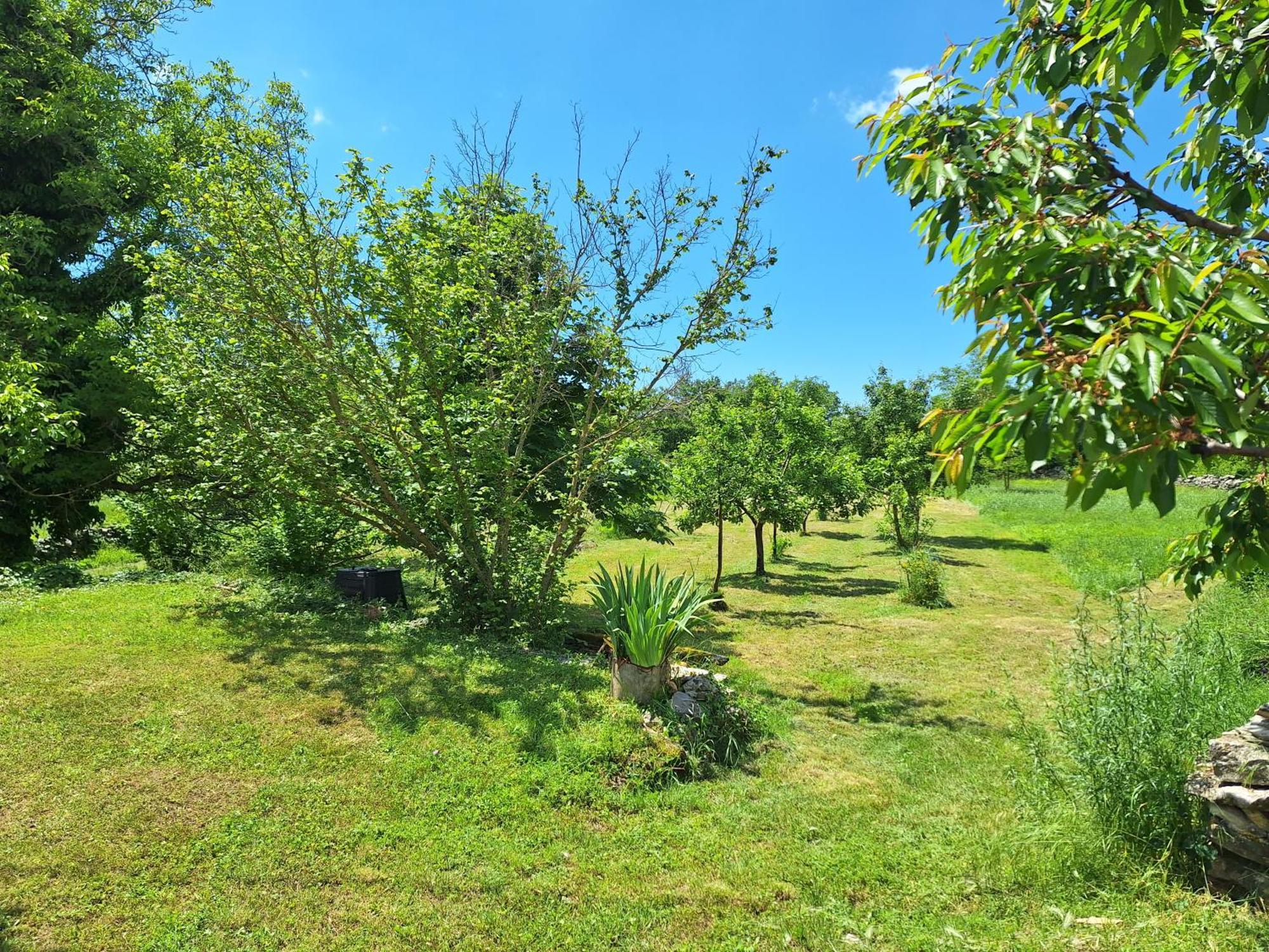 Villa Malini Grožnjan Extérieur photo