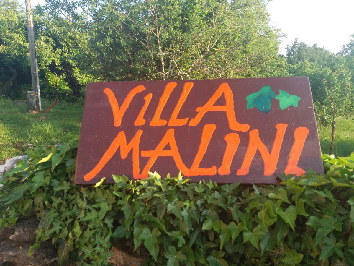 Villa Malini Grožnjan Extérieur photo